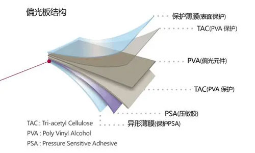 Polaroid-structure-diagram.jpg